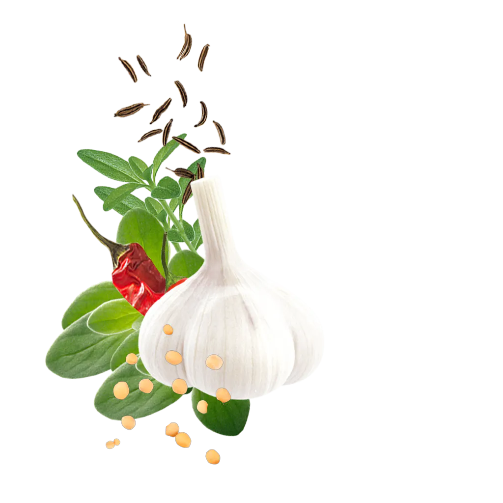 Mustard Marinade Content Hu