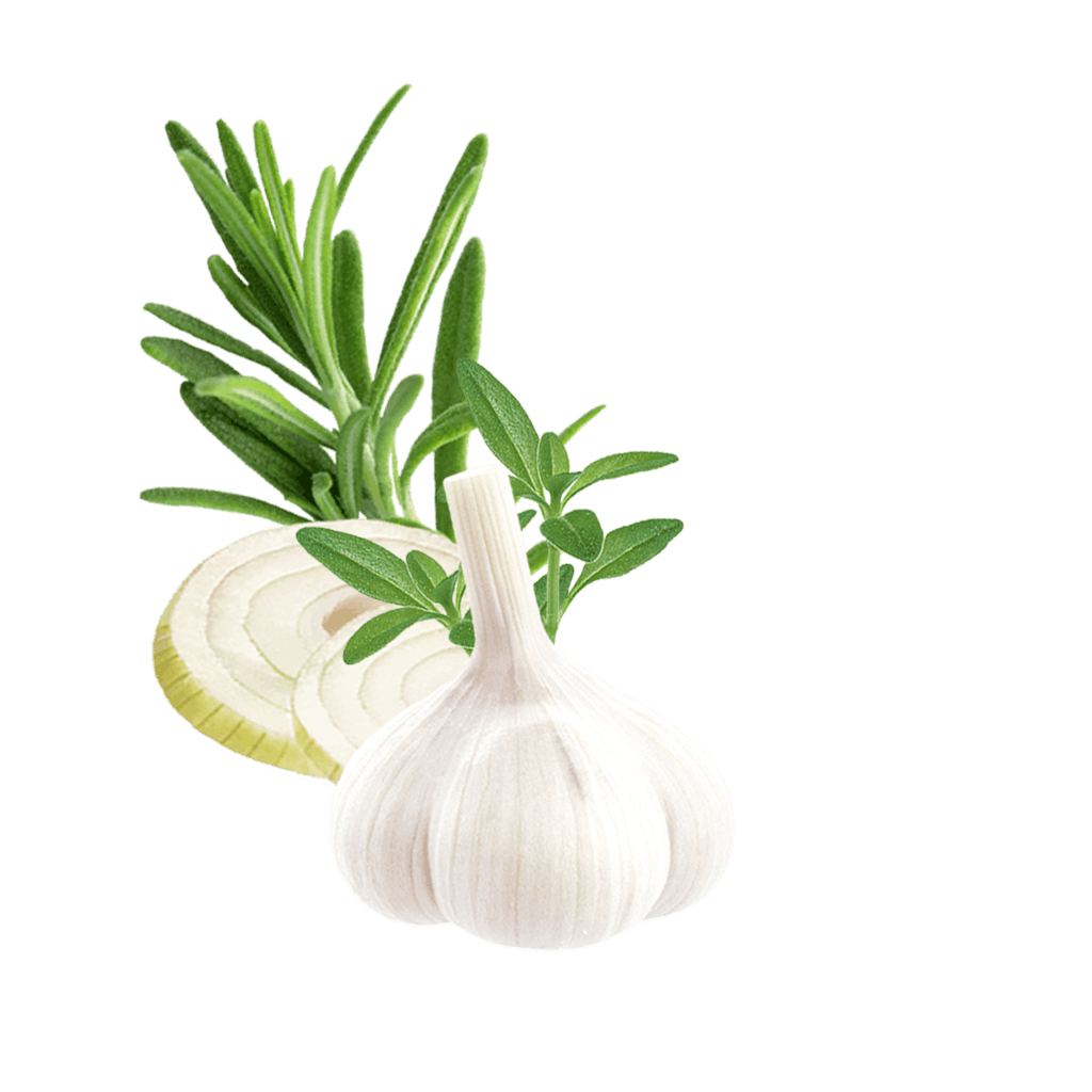 Garlic Marinade Content Hu