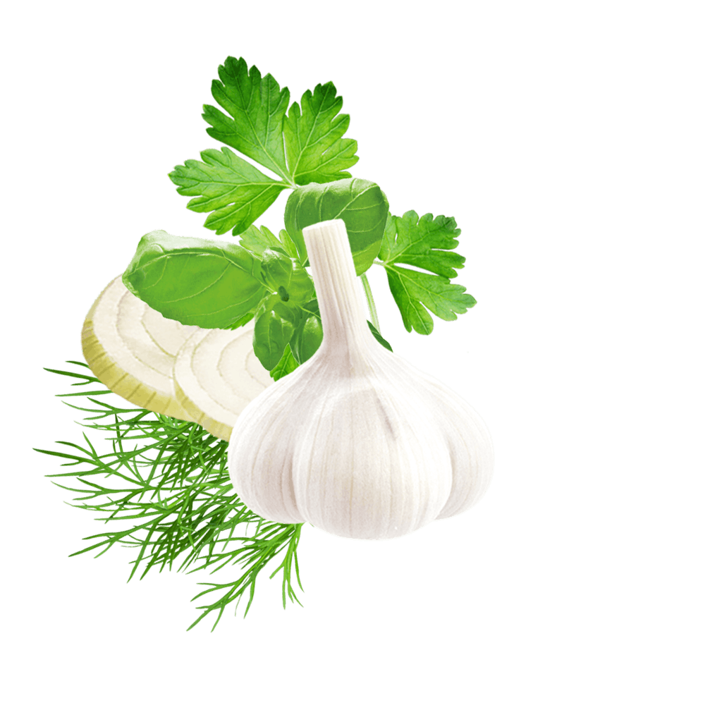 Salad Mix Garlic Content Hu