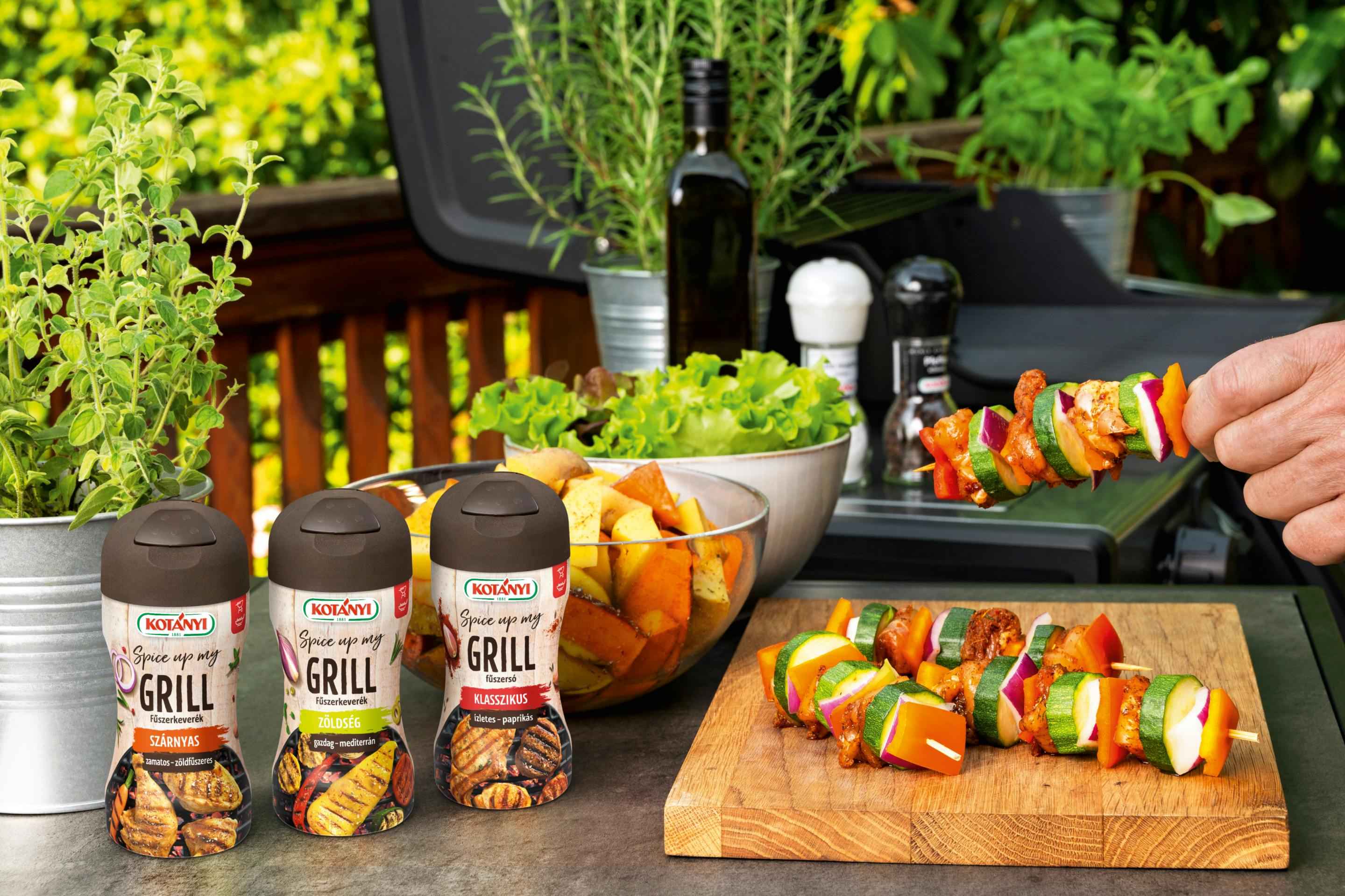Moodbild Grill Spieße Hu