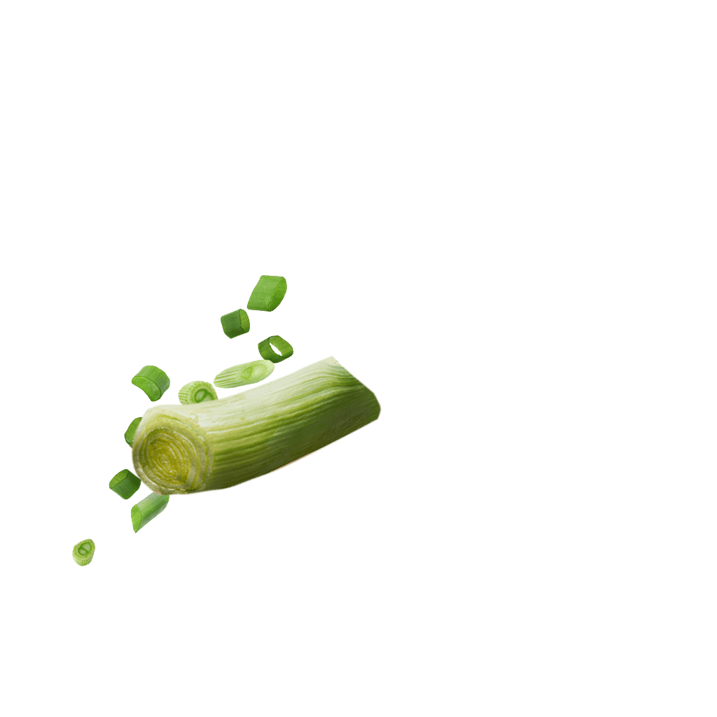 Frühlingszw Lauch Mischung Detail