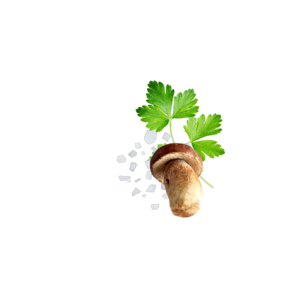 Mushroom Hu