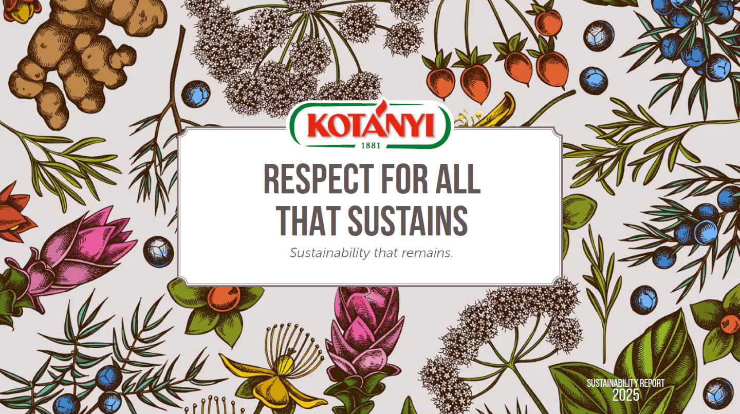 Sustainability Report English 1440